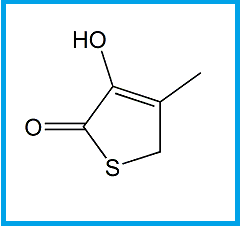 CEFADROXIL EP IMPURITY G